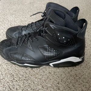 Jordan retro 6 wildcat